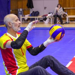 Чемпионат России по волейболу сидя