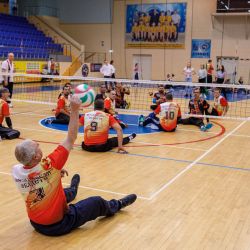 Мастер-класс по волейболу сидя в Егорьевске
