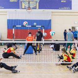 Мастер-класс по волейболу сидя в  Воскресенске