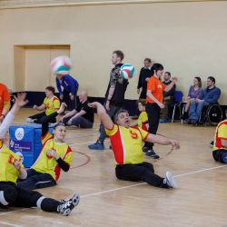Мастер-класс по волейболу сидя в  Воскресенске