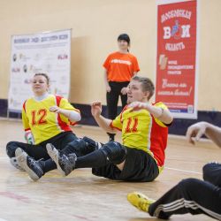 Мастер-класс по волейболу сидя в  Воскресенске
