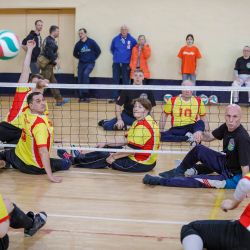 Мастер-класс по волейболу сидя в  Воскресенске