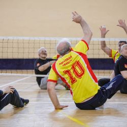Мастер-класс по волейболу сидя в  Воскресенске