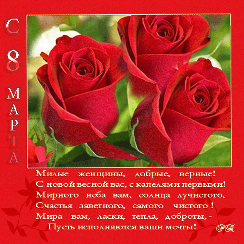 8-march-platov