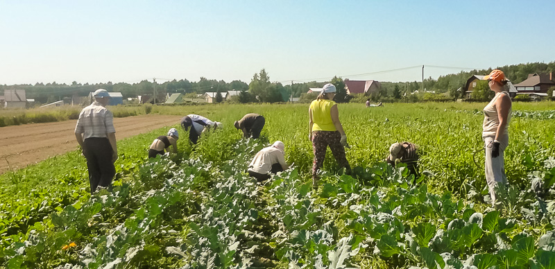 podolsk-august-1