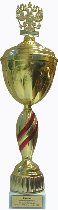 volleyball-cup